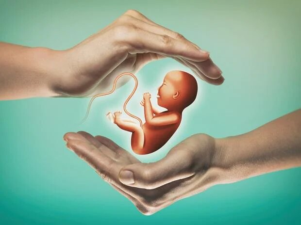 In Vito Fertility